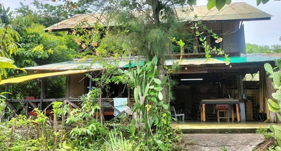 For sale 3 bed house in Pai, Mae Hong Son