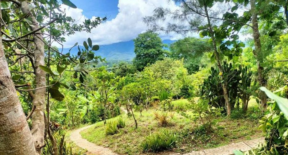 Casa en venta de 3 habitaciones en Pai, Mae Hong Son