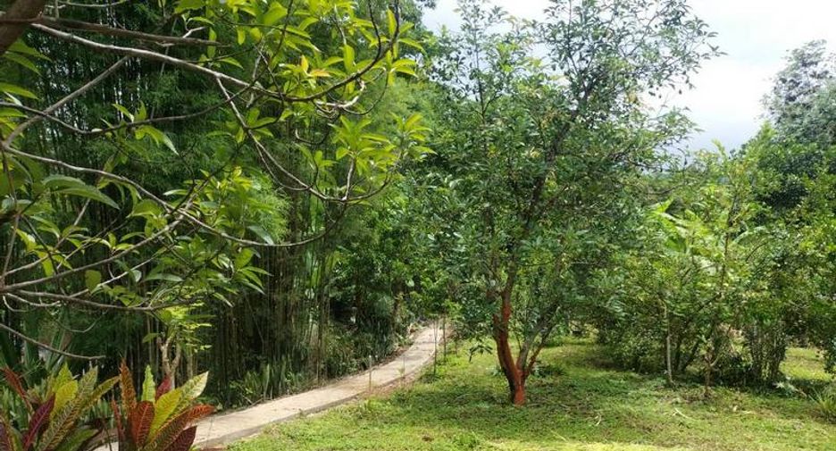 Casa en venta de 3 habitaciones en Pai, Mae Hong Son