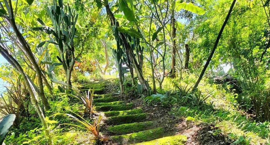 Casa en venta de 3 habitaciones en Pai, Mae Hong Son