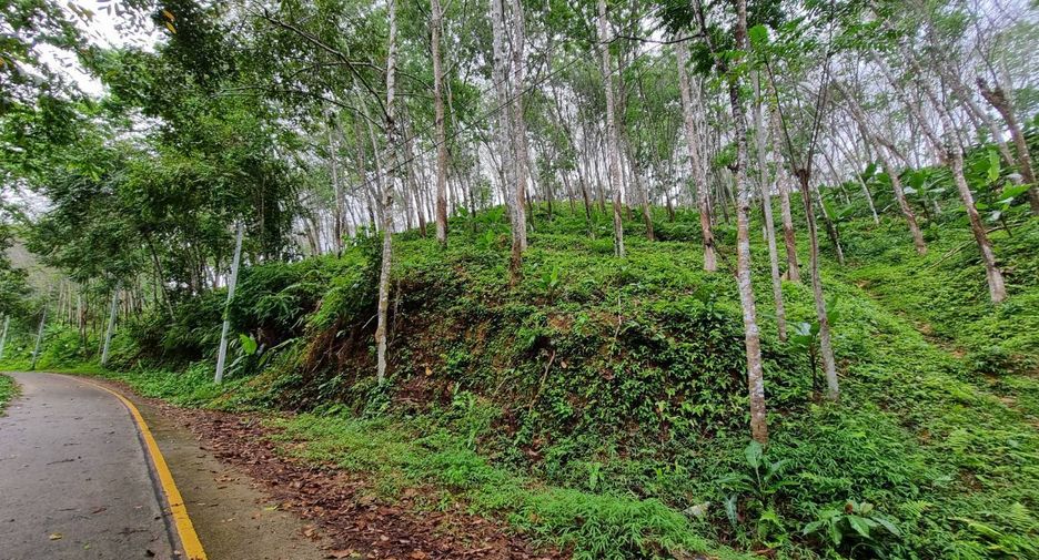 For sale land in Takua Thung, Phang Nga