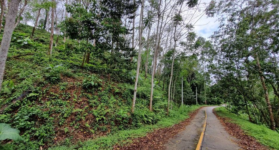 For sale land in Takua Thung, Phang Nga