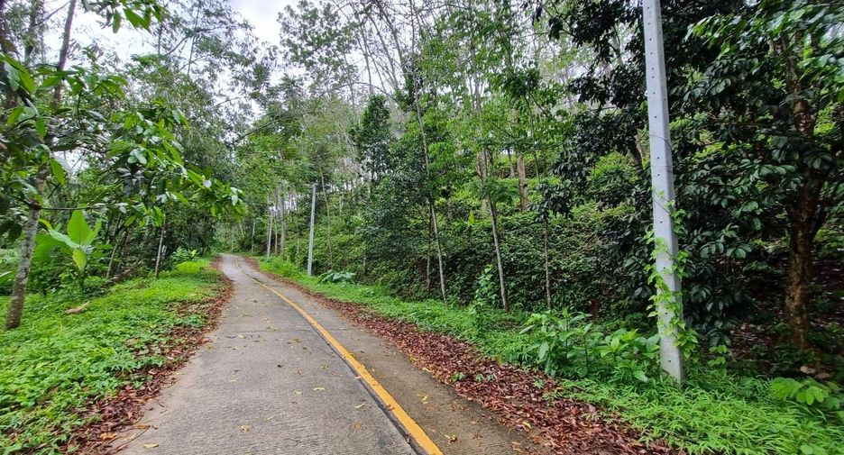 For sale land in Takua Thung, Phang Nga