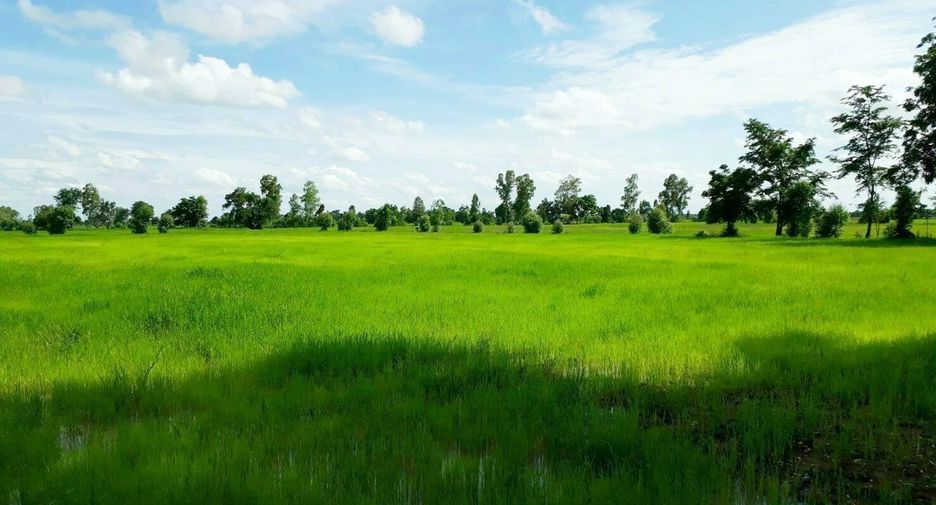 For sale land in Nong Bua, Nakhon Sawan