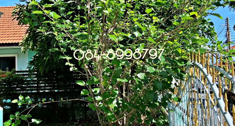 For rent 3 bed house in Ban Chang, Rayong