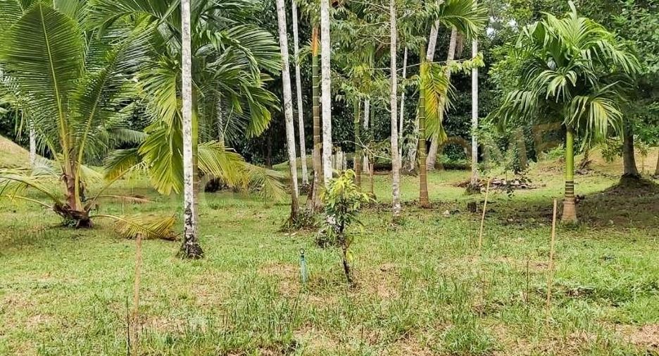 Grundstück zum Kauf in Mueang Chumphon, Chumphon
