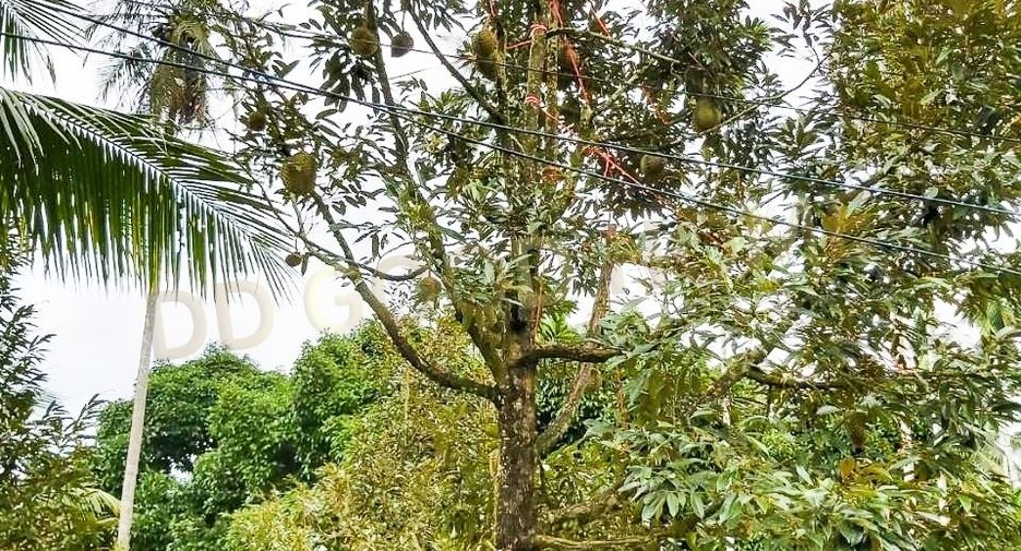 Grundstück zum Kauf in Mueang Chumphon, Chumphon
