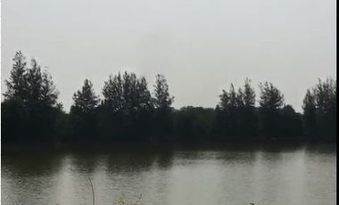 出售 土地 在 Pak Thong Chai, Nakhon Ratchasima