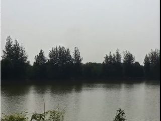 For sale land in Pak Thong Chai, Nakhon Ratchasima