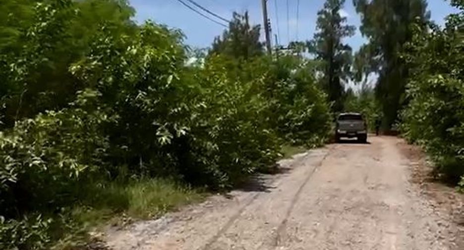 For sale land in Pak Thong Chai, Nakhon Ratchasima