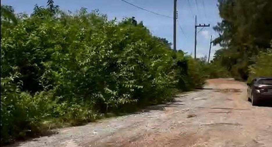 For sale land in Pak Thong Chai, Nakhon Ratchasima