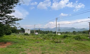 For sale land in Pak Chong, Nakhon Ratchasima