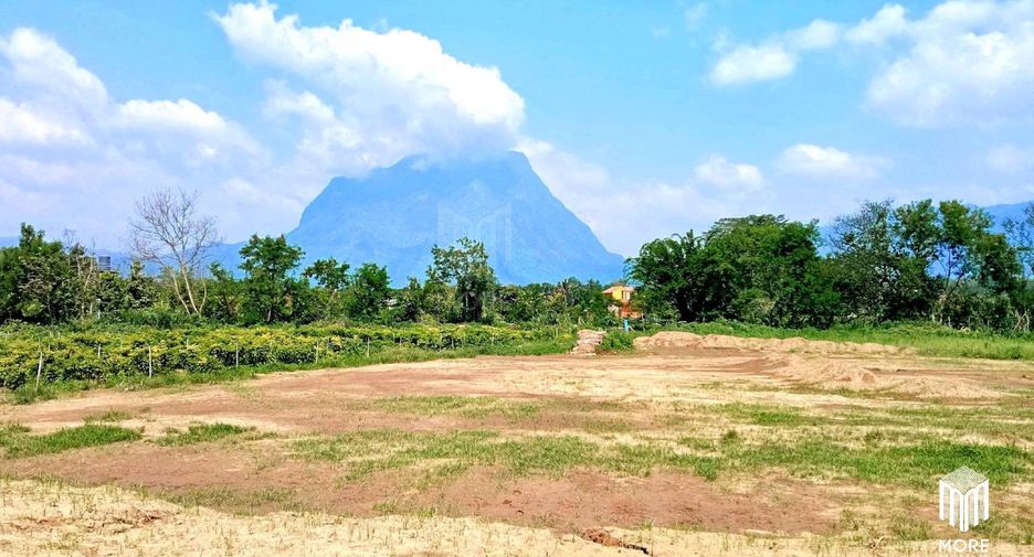 For sale land in Chiang Dao, Chiang Mai