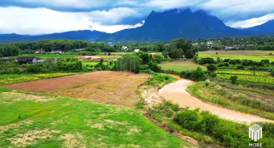 For sale land in Chiang Dao, Chiang Mai