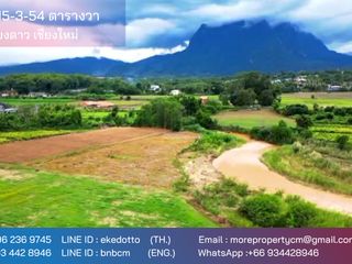 For sale land in Chiang Dao, Chiang Mai