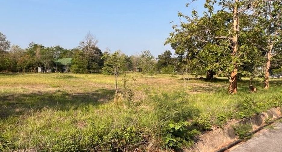 For sale land in Pak Chong, Nakhon Ratchasima