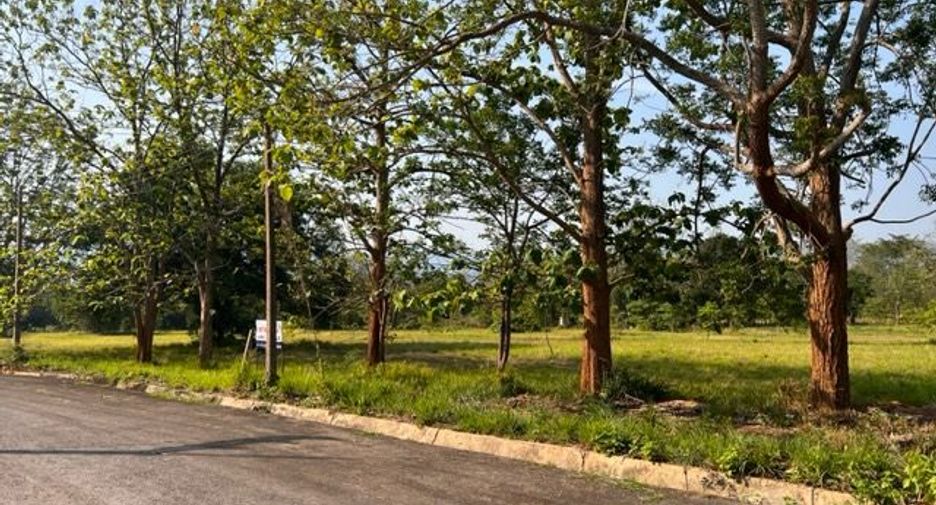 For sale land in Pak Chong, Nakhon Ratchasima