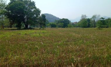 For sale land in Pak Chong, Nakhon Ratchasima