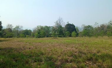 For sale land in Pak Chong, Nakhon Ratchasima