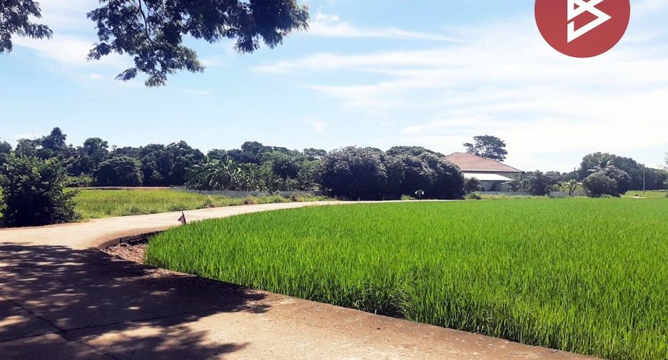 For sale land in Phayuha Khiri, Nakhon Sawan
