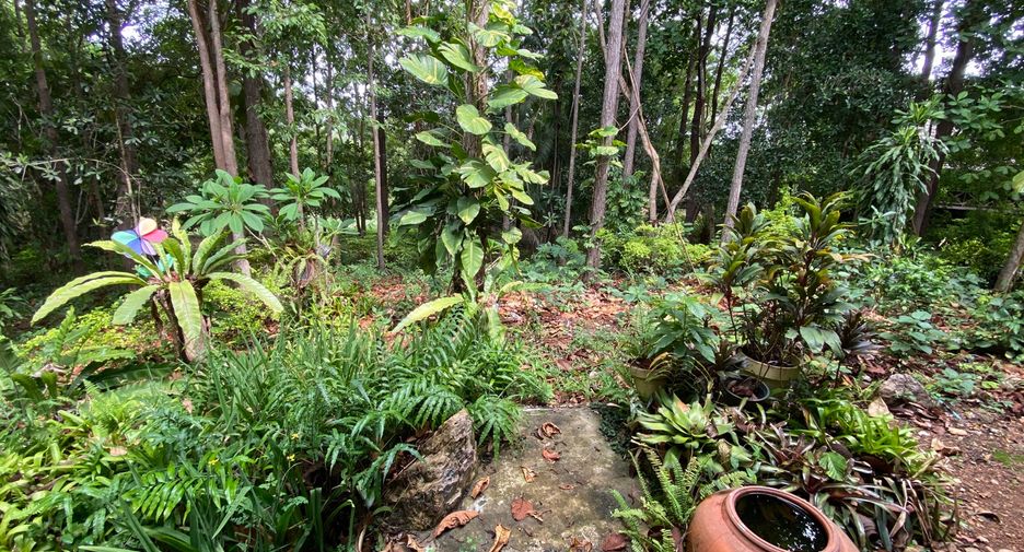 For sale 4 bedrooms house in Mueang Lamphun, Lamphun