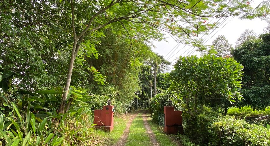 For sale 4 bedrooms house in Mueang Lamphun, Lamphun