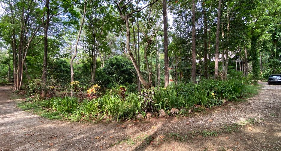 For sale 4 bedrooms house in Mueang Lamphun, Lamphun