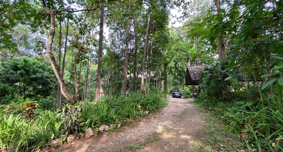 For sale 4 bedrooms house in Mueang Lamphun, Lamphun