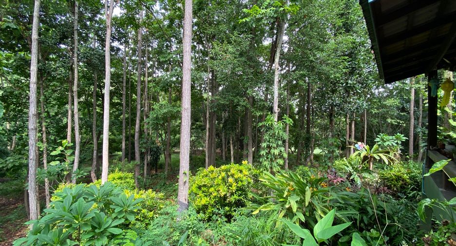 For sale 4 bedrooms house in Mueang Lamphun, Lamphun