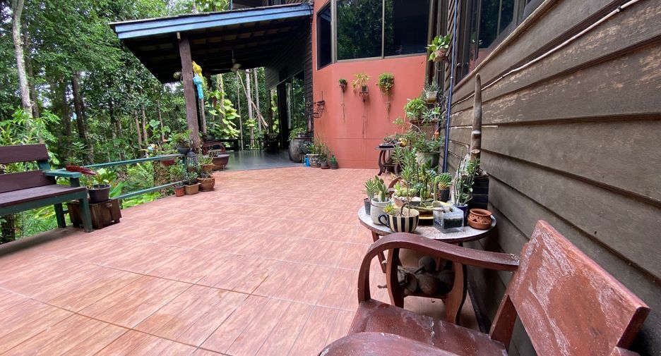 For sale 4 bedrooms house in Mueang Lamphun, Lamphun