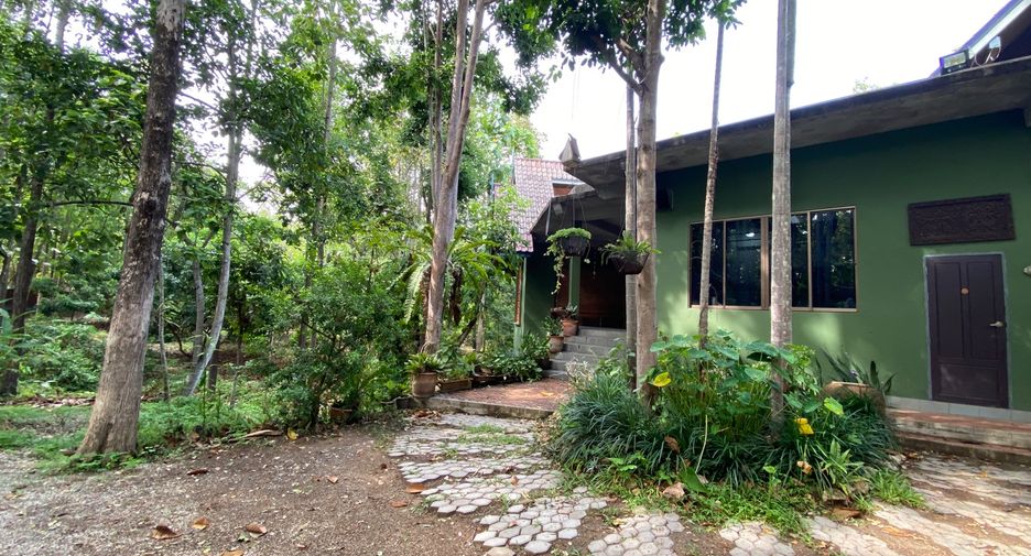 For sale 4 bedrooms house in Mueang Lamphun, Lamphun