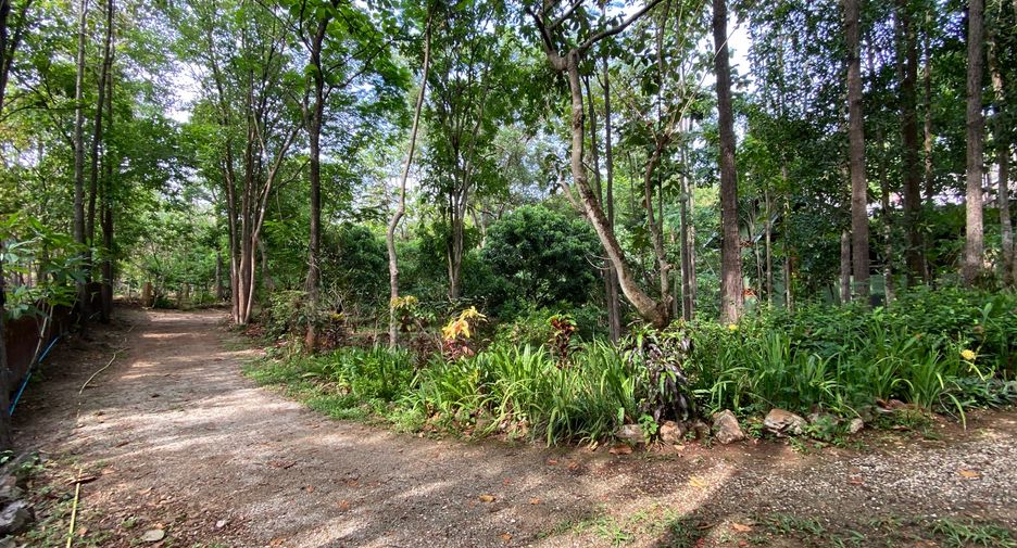 For sale 4 bedrooms house in Mueang Lamphun, Lamphun