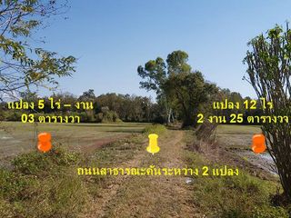 ขาย ที่ดิน ใน เมืองเชียงราย, เชียงราย