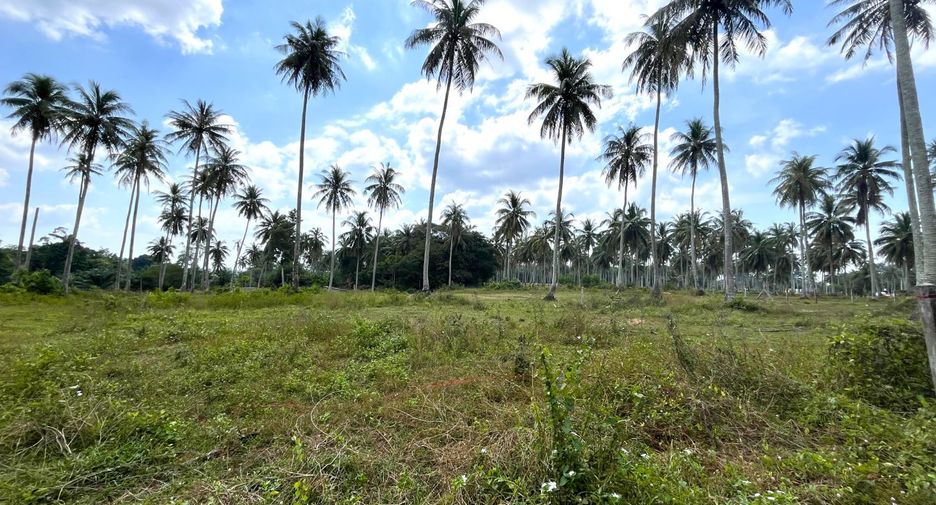 For sale land in Takua Thung, Phang Nga