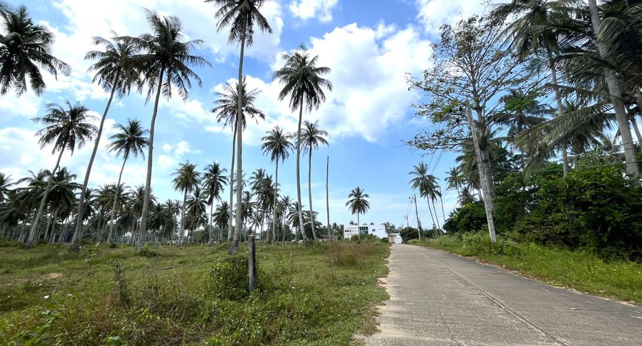 For sale land in Takua Thung, Phang Nga