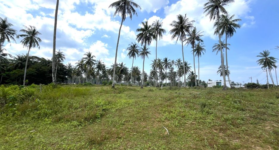 For sale land in Takua Thung, Phang Nga