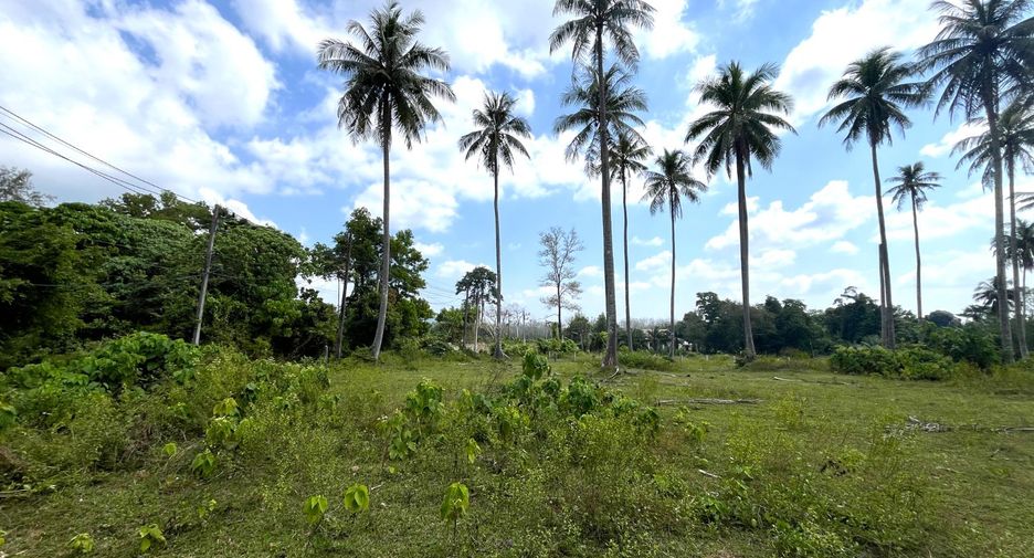 For sale land in Takua Thung, Phang Nga