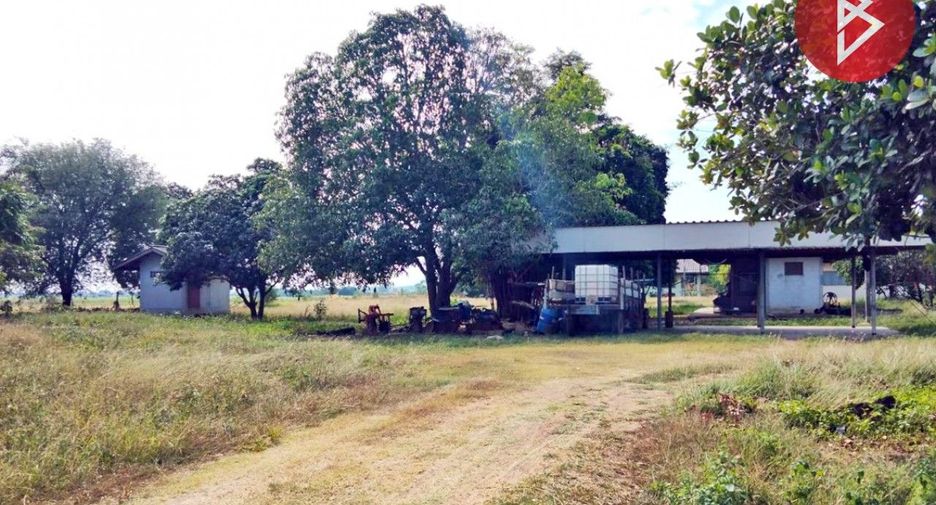 For sale land in Wichian Buri, Phetchabun