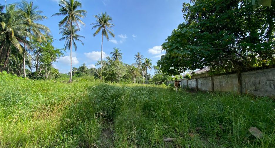 Grundstück zum Kauf in Mueang Krabi, Krabi