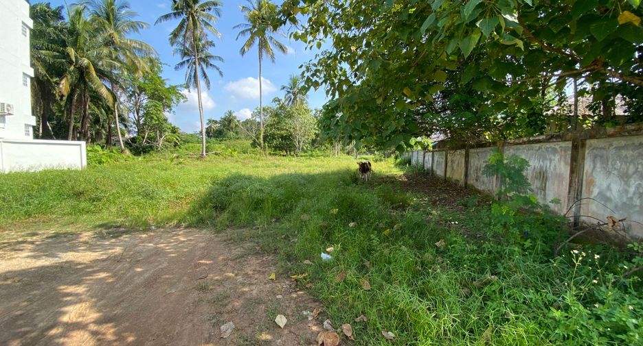 Grundstück zum Kauf in Mueang Krabi, Krabi