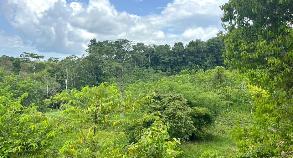 For sale land in Takua Thung, Phang Nga