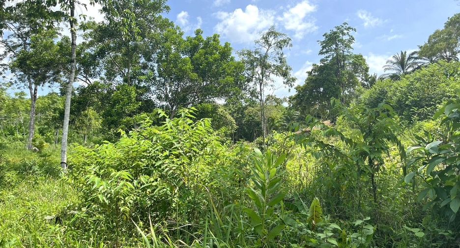 For sale land in Takua Thung, Phang Nga