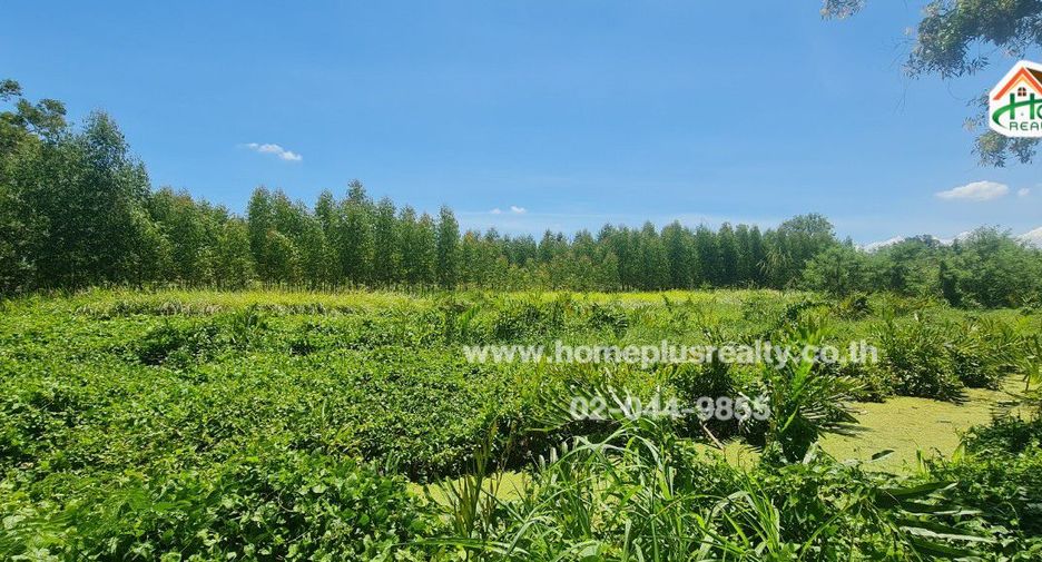 Grundstück zum Kauf in Nong Suea, Pathum Thani