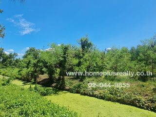 For sale land in Nong Suea, Pathum Thani