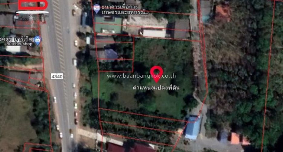 For sale land in Khuan Khanun, Phatthalung