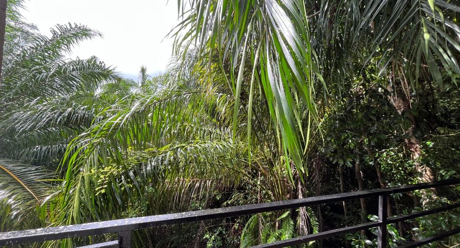 ขาย สตูดิโอ บ้านเดี่ยว ใน เมืองกระบี่, กระบี่