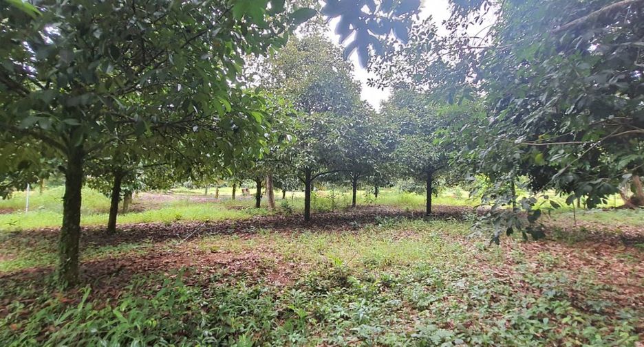 Terreno en venta en Takua Pa, Phang Nga