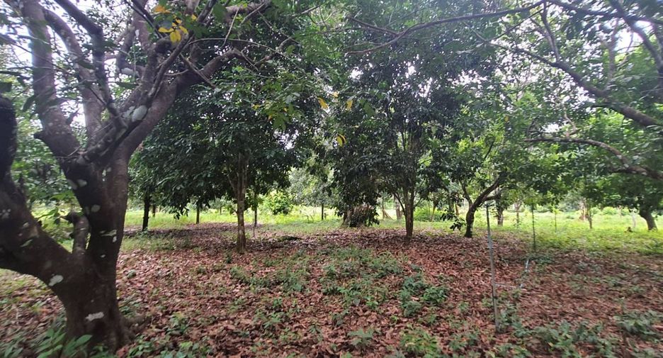 Terreno en venta en Takua Pa, Phang Nga