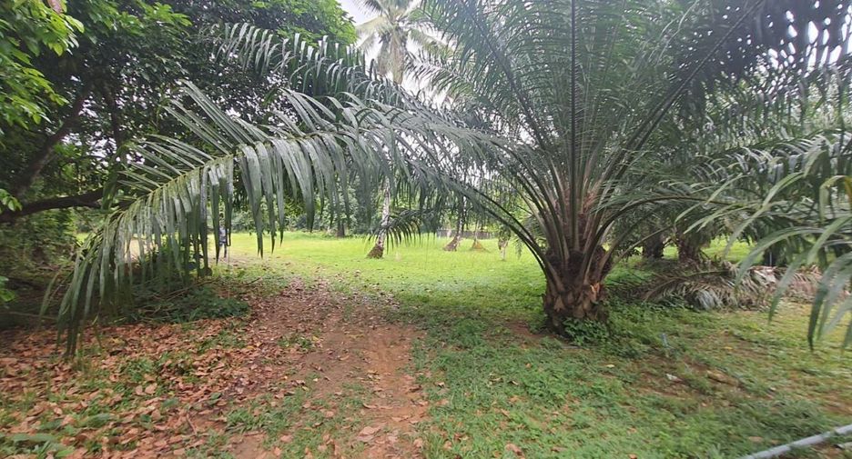 Terreno en venta en Takua Pa, Phang Nga