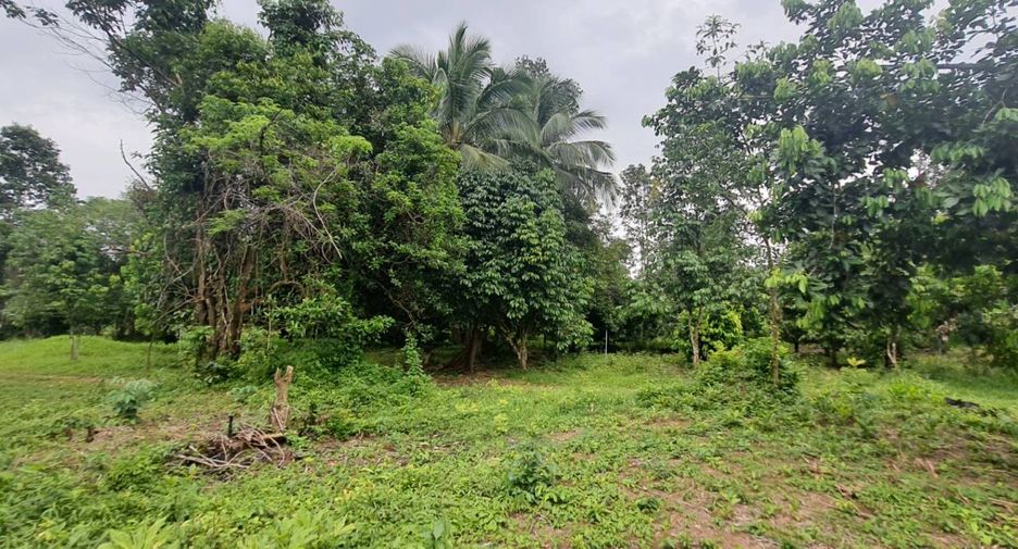 Terreno en venta en Takua Pa, Phang Nga